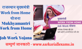 Rajasthan Work From Home Yojana 2022