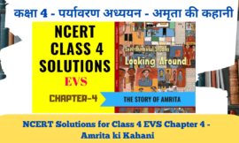 NCERT Solutions for Class 4 EVS Chapter 4