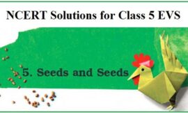 NCERT Solutions for Class 5 Chapter 5 Seed, Seed, Seed