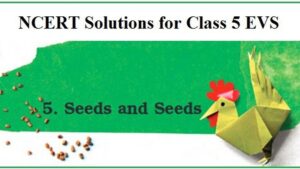 Read more about the article NCERT Solutions for Class 5 Chapter 5 Seed, Seed, Seed